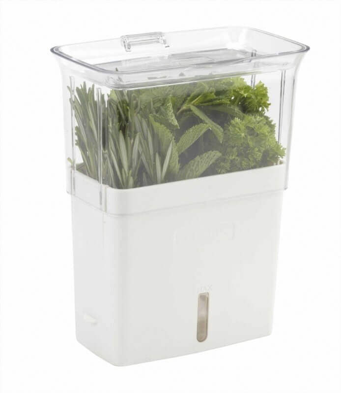 Conservateur Cole & Mason pour herbes fraiches coupées