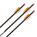 EASTON AVANCE ARROW ประกอบเสร็จ 12 ลูก (12PK)