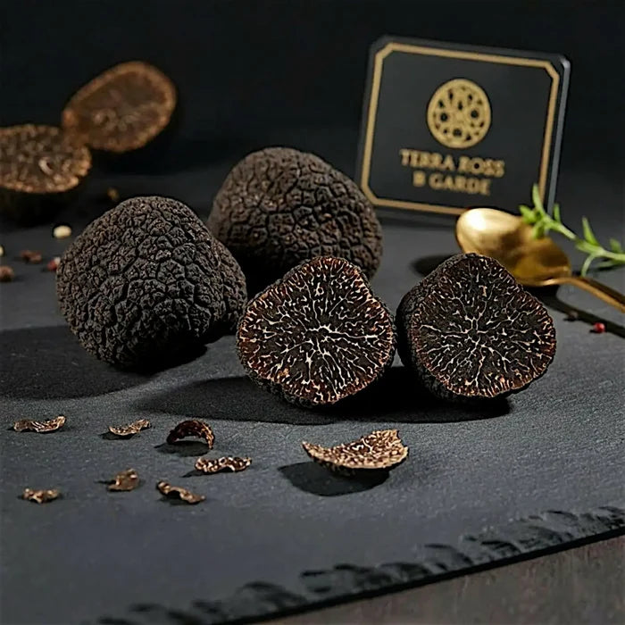 Small fresh Tuber melanosporum specimens showing natural B Grade variation