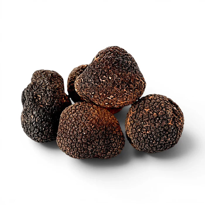 Whole fresh Tuber melanosporum specimens selected for EXTRA Grade presentation