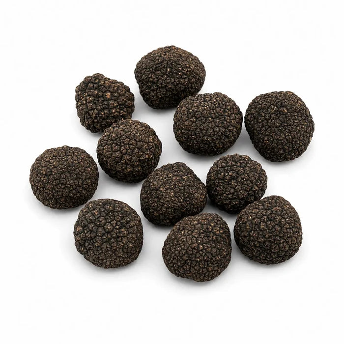 Fresh Tuber uncinatum Burgundy Truffles selected as B Grade