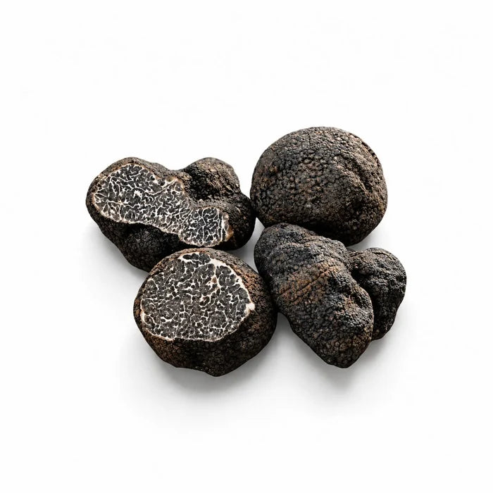 Four fresh Tuber macrosporum Smooth Black Truffles selected for A Grade culinary use