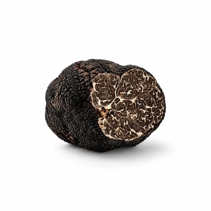 Four fresh Tuber macrosporum Smooth Black Truffles selected for B Grade culinary use