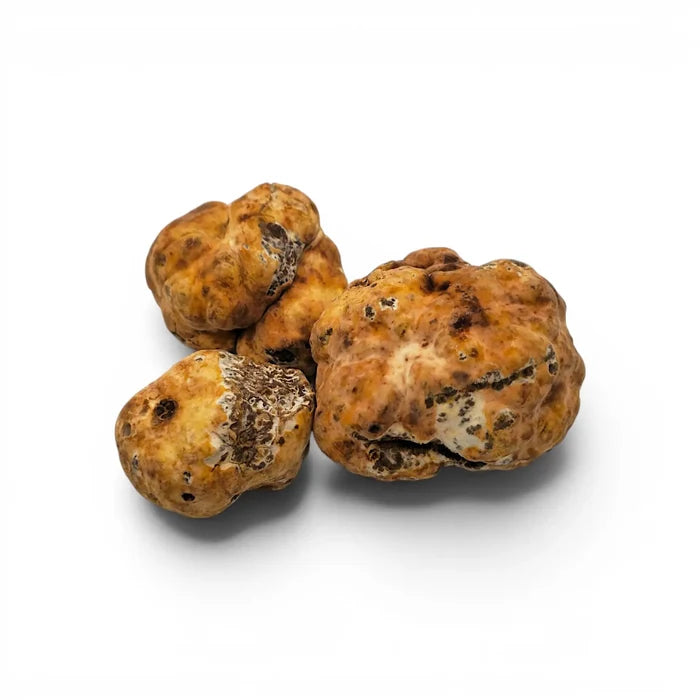 Fresh Tuber borchii EXTRA Grade truffles on a white background, with one exposed cut surface showing the interior