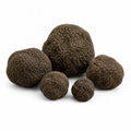 Whole fresh Summer Truffles – Tuber aestivum EXTRA Grade