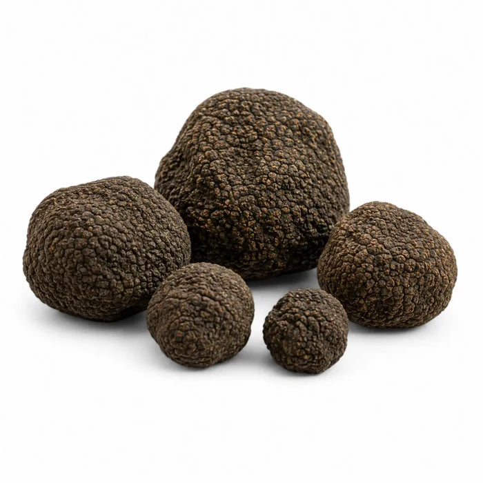 Whole fresh Summer Truffles – Tuber aestivum EXTRA Grade
