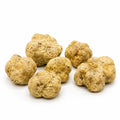 Big fresh Tuber magnatum white truffles with pale ochre surfaces and natural shape variation