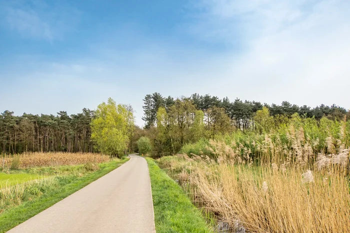 Gran Rondo 🟢🇧🇪 Oost-Vlaanderen