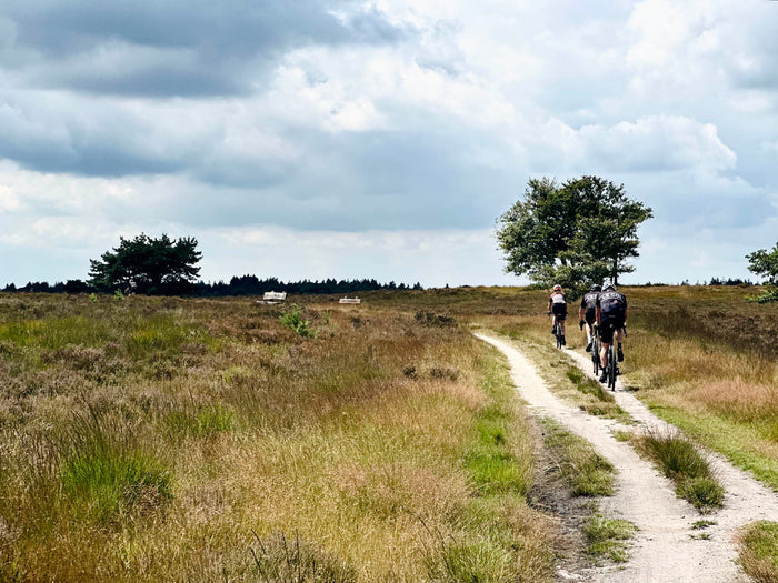 Gran Rondo 🟡🦌 Veluwe