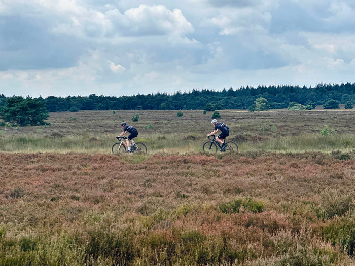Gran Rondo 🟡🦌 Veluwe