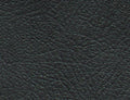 Pelle sintetica nera 100x140cm Phonocar 04414 - TechSoundSystem.com