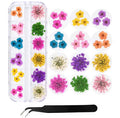 Pressed Petals - 12 Grid Dried Flowers Kit