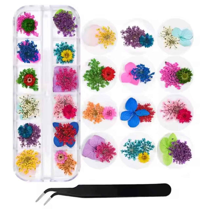 Pressed Petals - 12 Grid Dried Flowers Kit