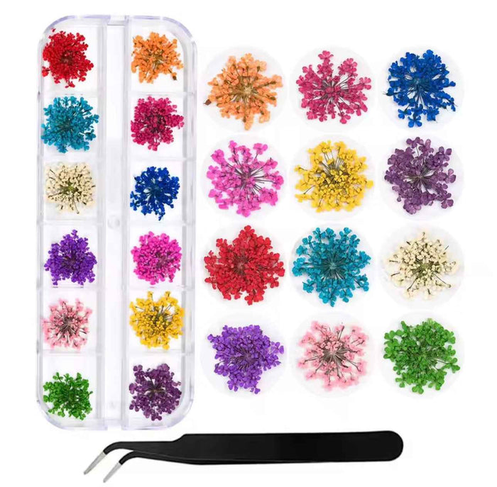 Pressed Petals - 12 Grid Dried Flowers Kit