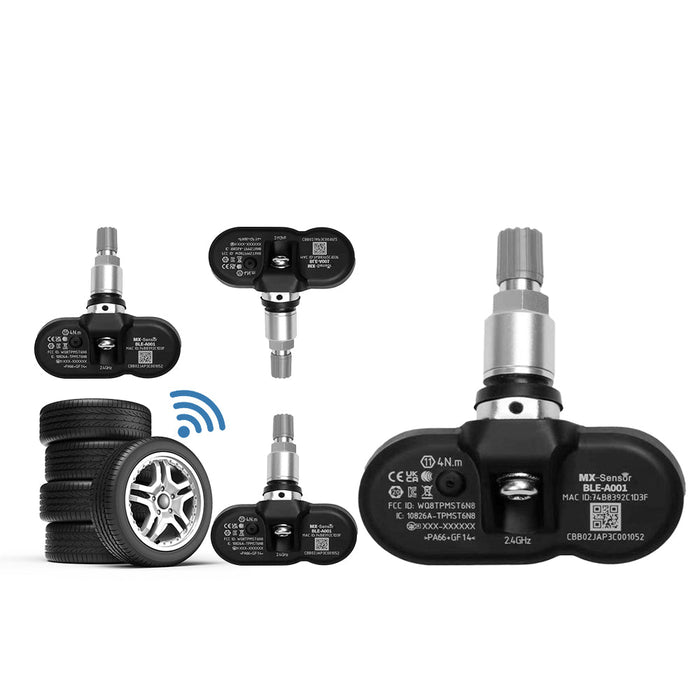 Model 3 2021-Present / TESERY TPMS - Sliver
